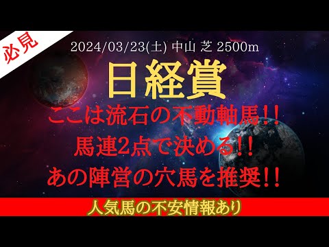 【 最終結論 】日経賞 2024 予想 ここは流石の不動軸馬！！馬連２点で決める！！あの陣営の穴馬を推奨！！【中央競馬予想】