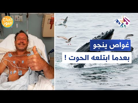 40 ثانية داخل بطن الحوت غواص أمريكي ينجو من الموت بأعجوبة L صباح النور