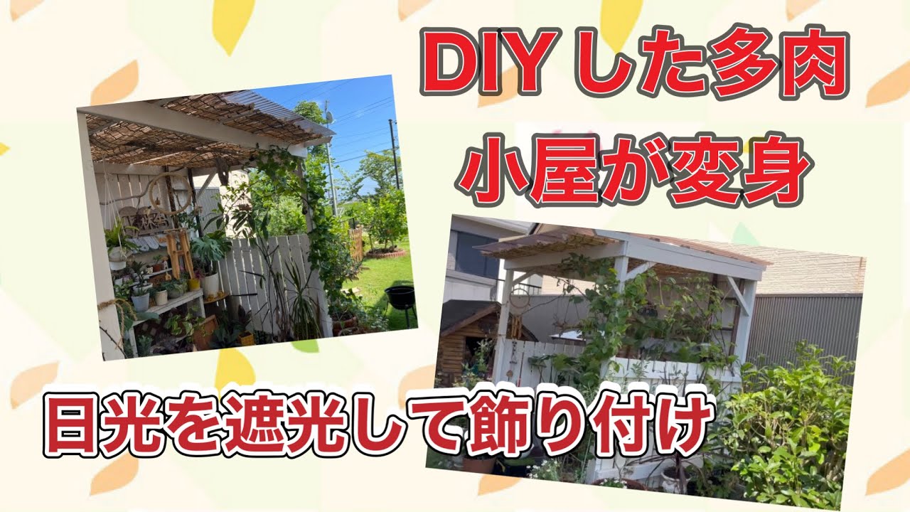 DIYしたパーゴラの様な、多肉小屋を飾り付け
