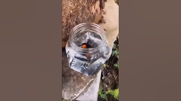 Top 5 Free Ai Video Generator | Best 5 Ai Tools 2025 | Image To Video Ai Free Unlimited #ai #shorts