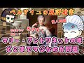マリー‐アントワネットに関する風評ってどのくらい信憑性あるの?トワネットちゃん名誉挽回なるかの巻