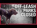 Next up the dogs torontos offleash parks closed down