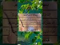 Surah Al-Fīl سورة الفيل #quran #shorts #viral #islamicvideo
