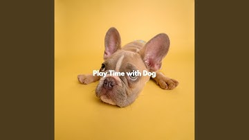 Festive Backdrops for Limitless Overtones