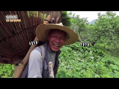 한국기행 - Korea travel_깊고 깊은 살골짝에 2부- 왕모산 스님이 사는 법_#001