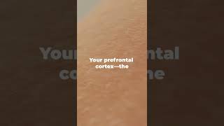 How to Hack Your Brain to Increase Productivity 500% 🧠 #neuroscience  #brainscience