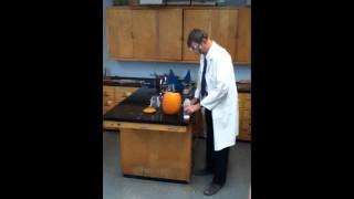 Inside the Shell: A Chemist's Halloween
