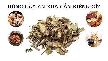 UỐNG CÂY AN XOA CẦN KIÊNG GÌ?