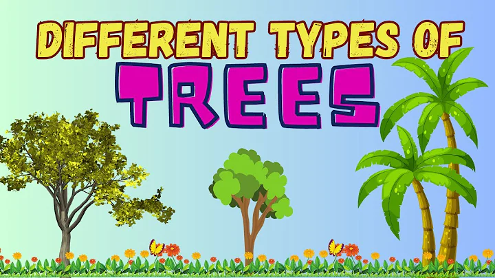 Learn about different types of Trees || Types of trees || Trees for kids || Kids Education Videos