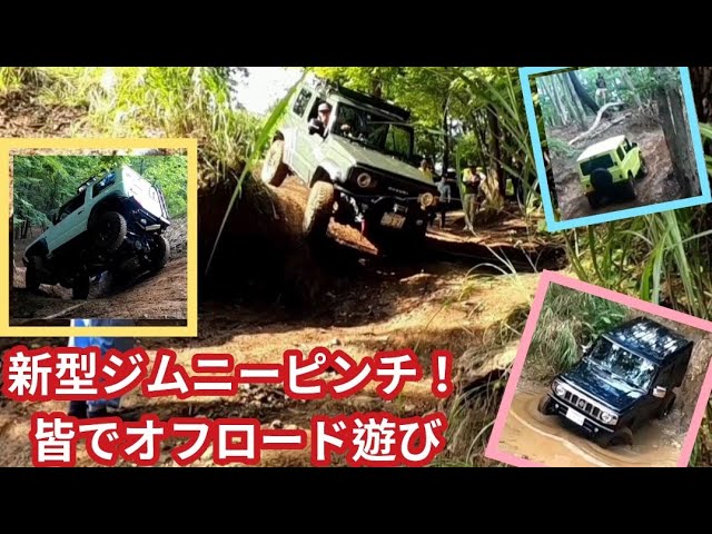 早い者勝ち！アルインコDR-635D新スプリアス 楽天市場】【19日20時から☆最大P47倍☆要ｴﾝﾄﾘｰ&買い回り