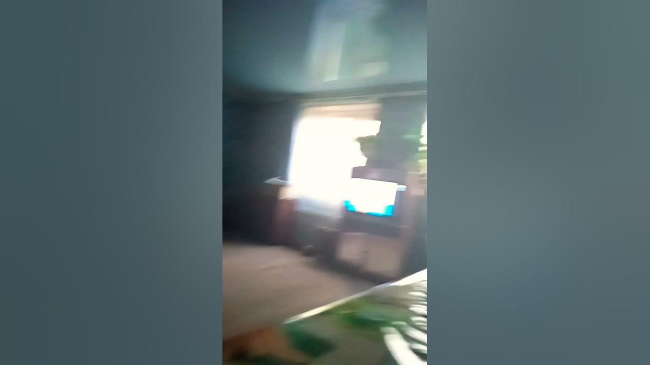 пролд - YouTube