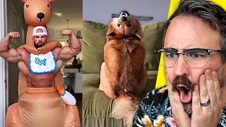 Funny TikToks That I'd Watch With Bae