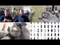 5 Cool & Classy Watches Under $50 - A Collection For The Price Of A Fashion Watch - Seiko Unboxing