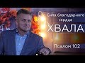 Cила благодарного сердца - ХВАЛА! | Сергей Колесников | Псалом 102