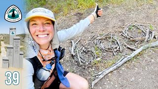 Day 39 | 600 Miles, a 30 Mile Day!, + Trail Magic Galore | Pacific Crest Trail PCT Thru-Hike 2025