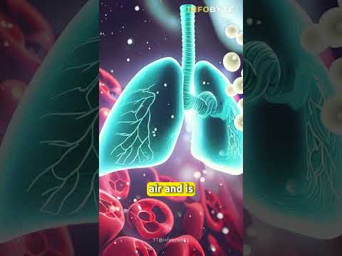 Nitrogen and Oxygen: