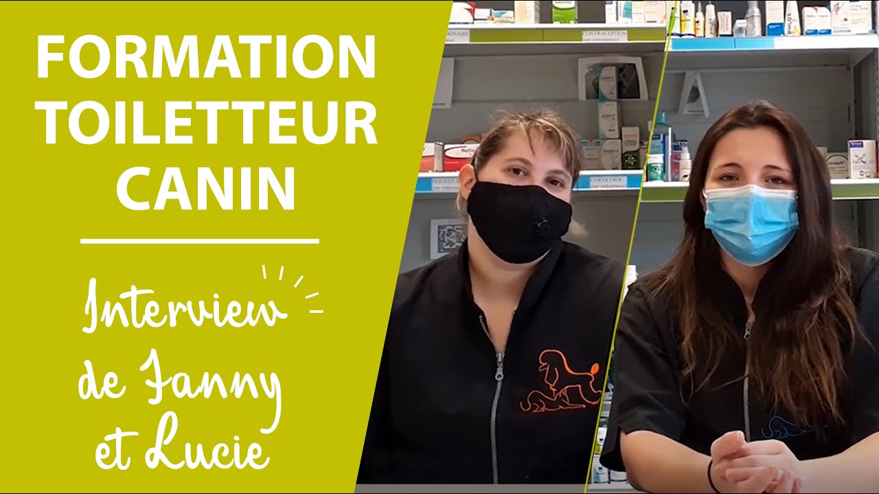 Formation Toiletteur canin et félin (CTM) Sup Santé Animale YouTube — free download