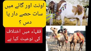 اونٹ اور گائے میں کتنے لوگ شامل ہو سکتے ہیں؟