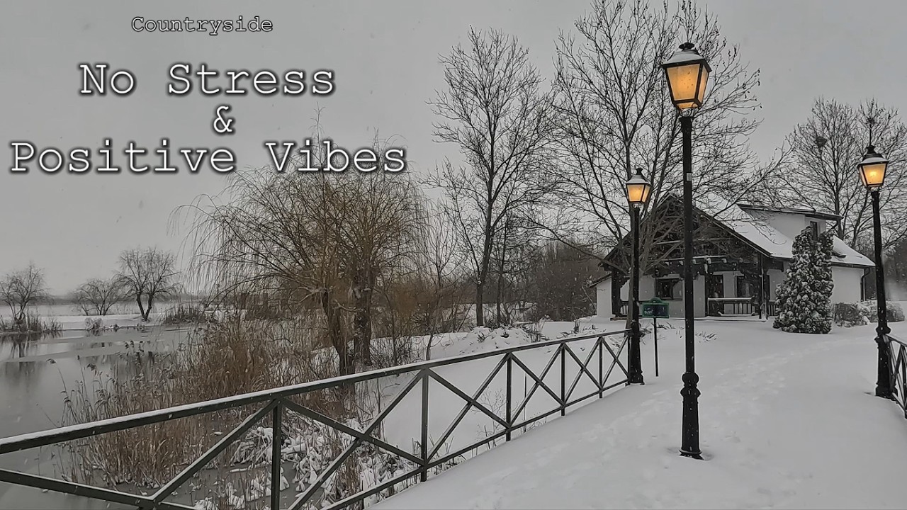 Love the Quiet Countryside | Snowing by the Willow Lake | Deep Relaxation