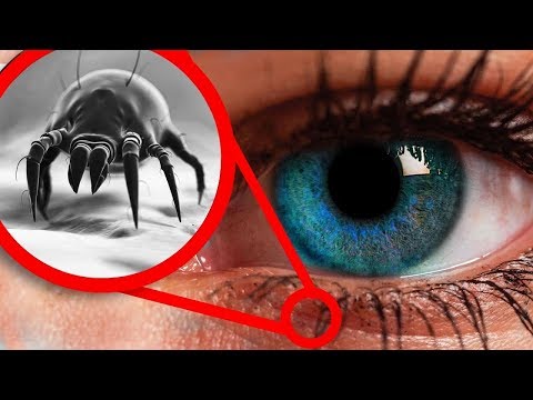 5 ЧАСТЕЙ ТЕЛА, КОТОРЫЕ НЕЛЬЗЯ ТРОГАТЬ грязными руками