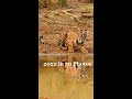 2022 in 50 Photos from around the corner of India, #shorts of wildlife and travel pictures in 5 sec