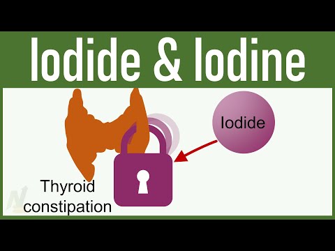 Iodide and Iodine || Mechanism of Action, Uses, Side Effects ||