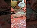 Perfect Tailapia Fish Cutting Skills In Bangladesh Fish Market