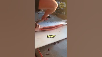 Thumbnail of Perbedaan Nelayan Dan Chef Dalam Memotong Ikan Salmon!