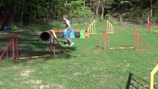 20180427 Roxanne Training mit 11 Monaten