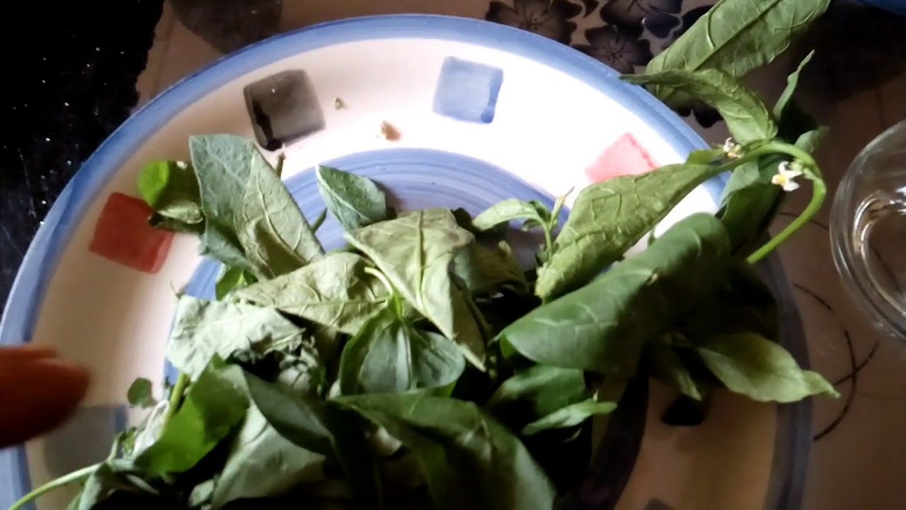 IF YOU DRINK THIS GARDEN EGGS LEAF IN ONE WEEK THIS WILL HAPPENED TO