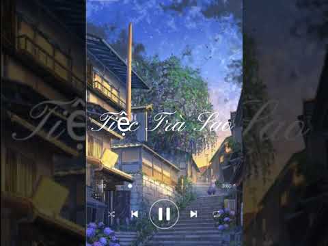 Nhạc Douyin Tiệc Trà Sao 星茶会 灰澈 