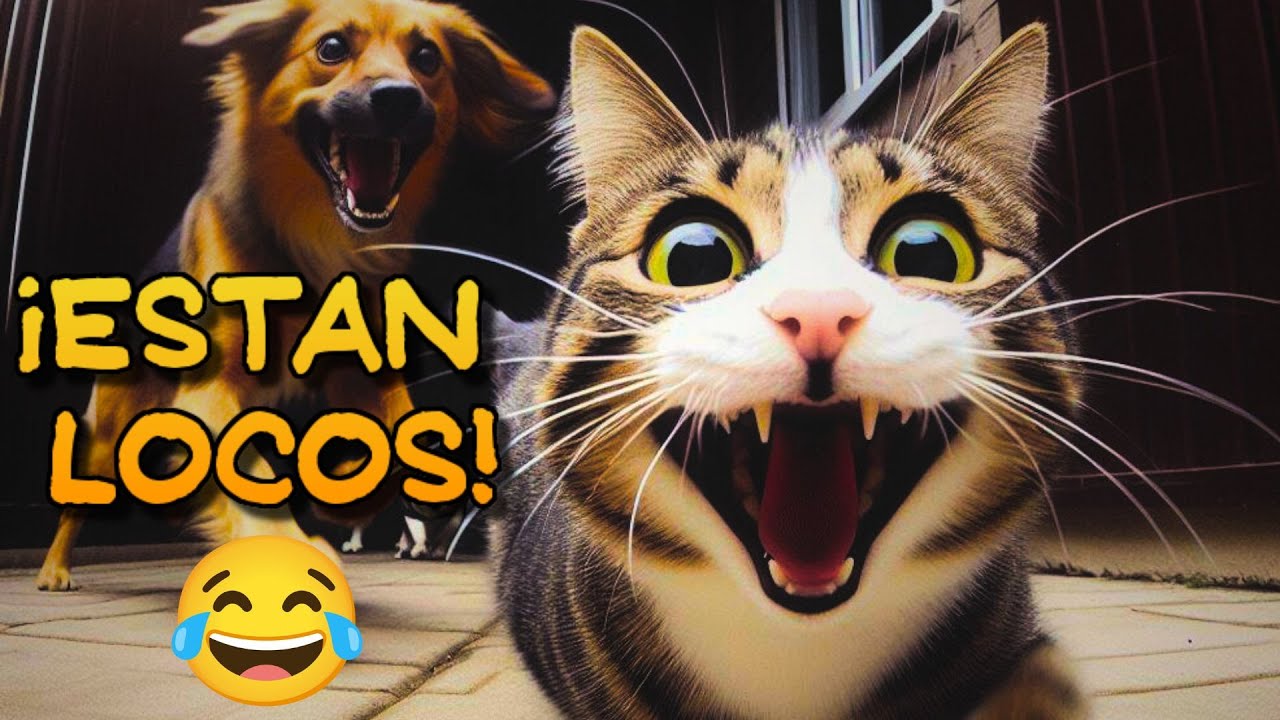 LOS MEJORES VIDEOS DE RISA DE ANIMALES QUE VERÁS!😂 #funny #divertido # ...