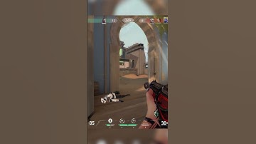 Panic mode on #valorant #panic #anxiety