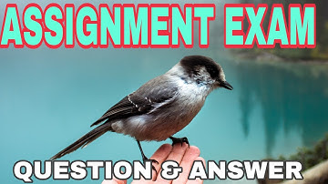 OSOU MAOD 1 ASSIGNMENT EXAM QUESTIONS ANSWER