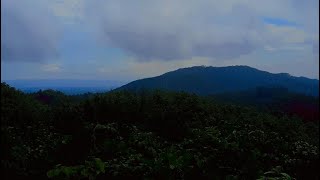 Gardenview And Misc. Is Live