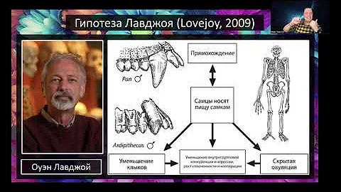 Сознание, любовь и прямохождение
