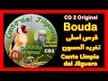 قرص أصلي تغريد طائر الحسون بودة (CD2)  Canto del Jilguero bouda