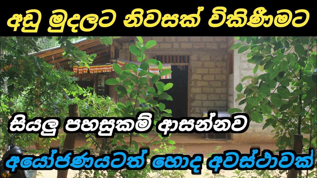 අඩුවට නිවසක් සියලු පහසුකම් ආසන්නයෙන් | House for sale | House sale in Mihinthale | Ikman selling