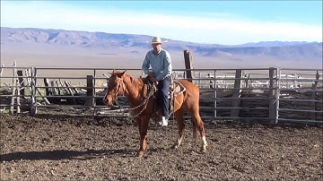Clint Weaver Horsemanship  Keeping Your Horse in a Lope Part Two