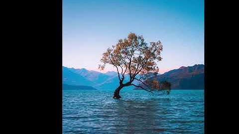 سورة النحل بصوت ماهر المعيقلي 