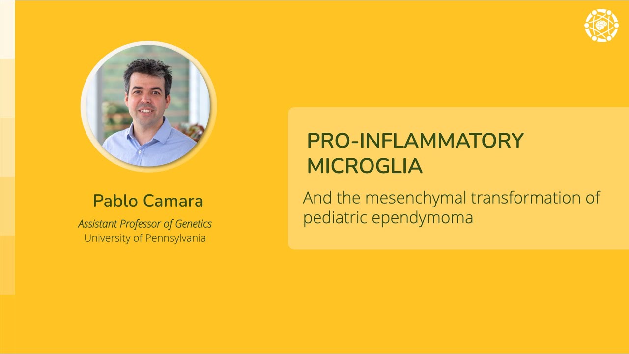 Pablo Camara - Pro-inflammatory Microglia & Mesenchymal Transformation of Pediatric Ependymoma