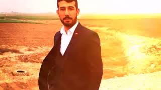 Abu çınar 05412556711