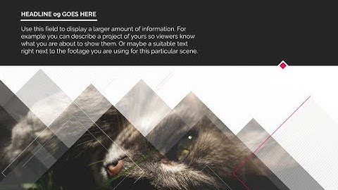 Clean Elegant Slideshow After Effects Templates