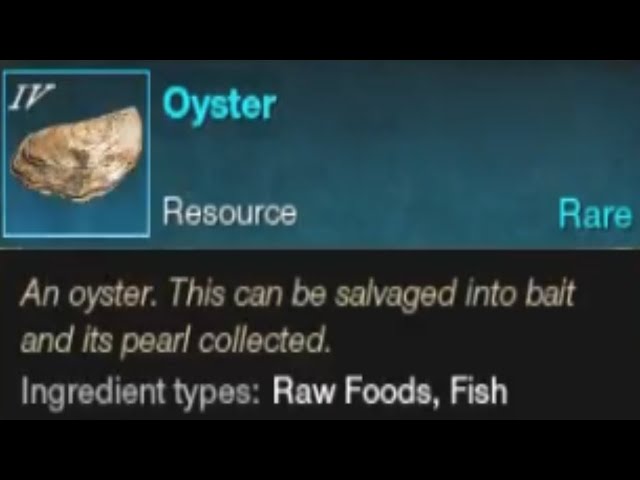 How To Get Oysters In New World - How To Get Pearls In New World - How To Get  Oyster Bait 