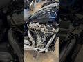 Ramblings of a fan #harley #harleydavidson #lowrider #lowriderst #favorite #fxrp #foryou #fyp