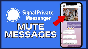 How to Mute Messages in Signal 2024?