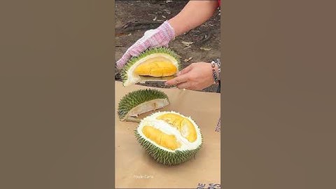 The World Smelliest Fruit (Durian) #short