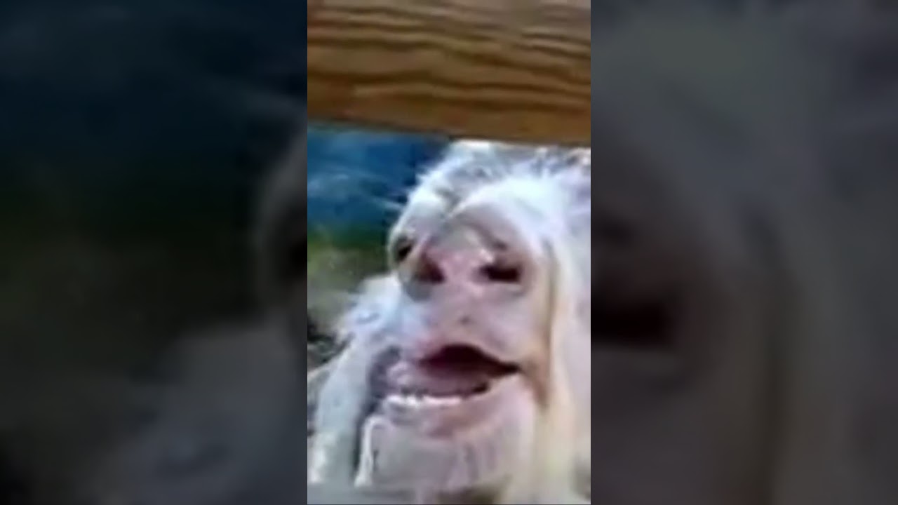 8 января 2025 г.