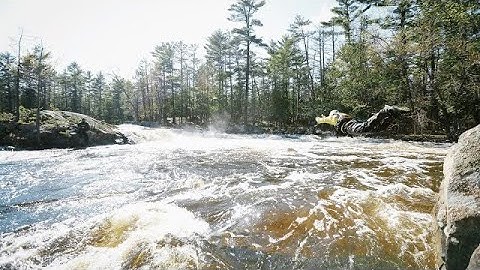 This Is How You Swim Rapids — Whitewater 101