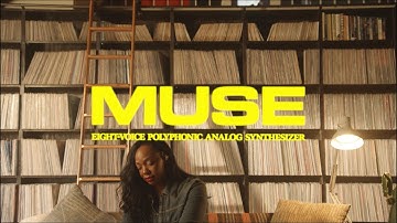 Moog Muse | Reflections | Paris Strother